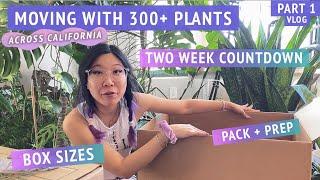 Preparing + packing houseplants gathering boxes planning  MOVING MY 300+ PLANT COLLECTION part 1