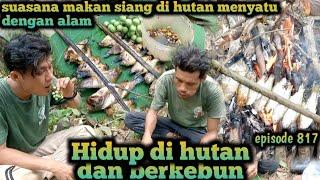 petualangan makan hasil mancing tengah hutan di pinggir sungai warta petani muda hidup di hutan