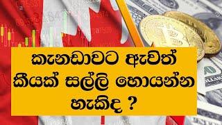 කැනඩාවට ඇවිත් කීයක් සල්ලි හොයන්න පුලුවන්ද ?  minimum wages of Canada by province