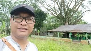 Makam Mbah Arya Jipang Kec. Karangdadap Kab  Pekalongan belakang area Pondok Pesantren Darussalam