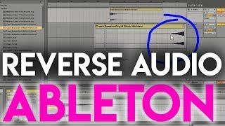 How to reverse Audio in Ableton Live