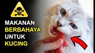 AWAS 15 Makanan yang Tidak Boleh Dimakan Kucing