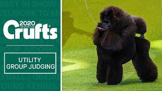 Utility Group Judging  Crufts 2020