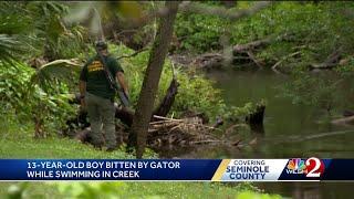 13-year-old boy bitten by alligator while swimming in Florida creek