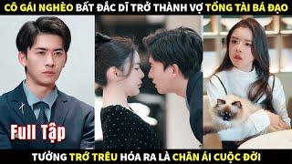 Cô gái nghèo bất đắc dĩ trở thành Vợ Tổng Tài bá đạo tưởng trớ trêu hóa ra là chân ái cuộc đời