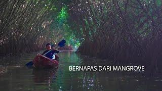 Film Dokumenter Bernapas Dari Mangrove  Kisah Tagana Perajut Hutan Mangrove di Kebumen