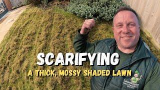 Scarifying A Thick Mossy Lawn 4k