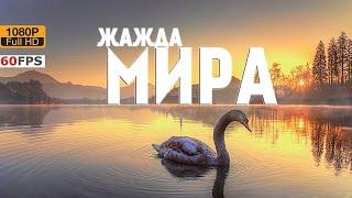 ЖаЖда МиРа 2-ой запрещённый фильм Яна Артюса-Бертрана   Документальный