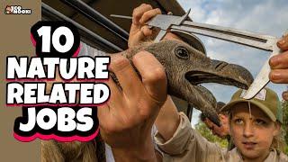 10 Nature Related HIGHLY PAID jobs with Awesome Future