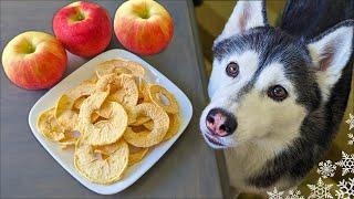Crunchy Apple Chips for Dogs  DIY Dog Treats
