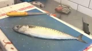 A Guide To Filleting Mackerel