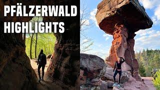 Pfälzerwald Sehenswürdigkeiten Top-Highlights und schönste Orte