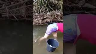 cari ikan di sungai #shorts #viralvideo