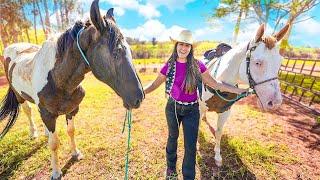 TODOS MEUS AMIGOS TEM CAVALO MENOS EU VOU ALUGAR UM CAVALO