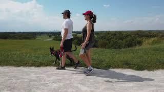 Cahokia Mounds- Is St. Louis Americas First City?