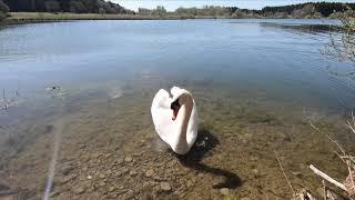 wandern auf der Schwackenreuter Seenplatte