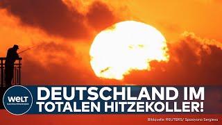 WETTER Hitzekoller Deutschland heizt auf - Jetzt ist der sonnige Hochsommer da