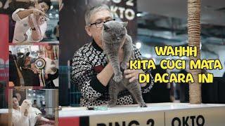 Dokumentasi Cat Show di Lampung