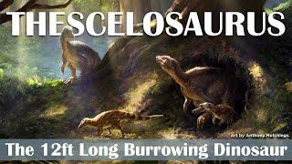 Thescelosaurus The 12ft Long Burrowing Dinosaur