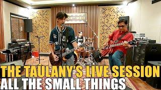 THE TAULANYS - ALL THE SMALL THINGS  LIVE SESSION 