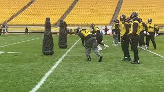 Markus Golden Nick Herbig Get Ready to Replace T.J. Watt  Steelers Sights and Sounds