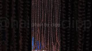 The Real Passion Twists And The Hair Extension #passiontwists