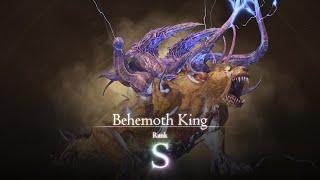 FF16 - Behemoth King NO DAMAGE