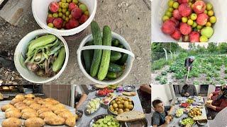 Bahçeden salatalık patates ve soğan topladık köy ekmeği akşama güzel bir yemek