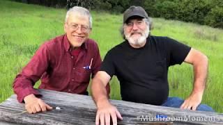 Paul Stamets & David Arora find Stropharia semiglobata