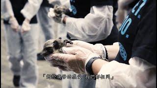 2018世界動物權日官方活動影片｜National Animal Rights Day NARD Official Video