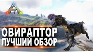 Овираптор Oviraptor в АРК. Лучший обзор приручение разведение и способности  в ark.