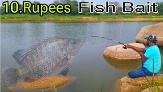 Public Fishing Bait  Fish Catching And Release video  New River Fishing  Fishing videos