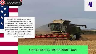 The Top 7 World Wheat Production by Countries In The World