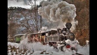 Cu Mocanita in Maramures  Incredible Romania 4K