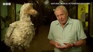Attenboroughs Ark  BBC Select