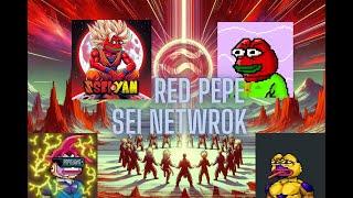 How to make a compass wallet. How to buy red pepe