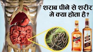 शराब पीने से शरीर पर क्या असर पड़ता है Is Alcohol Really Harmful for our Body