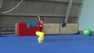 WUSHU 武术  Đao Pháp