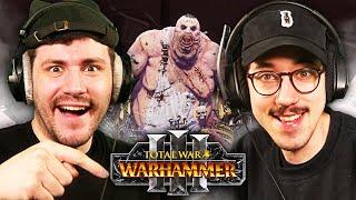 Gebrüder Oger mobben die Menschheit  Total War Warhammer III