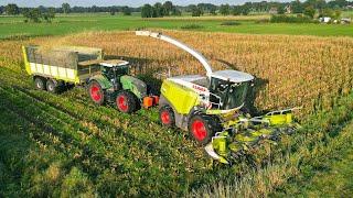 Mais Silage 2024  Claas Jaguar 940 + Fendt 939  Van Spijkeren