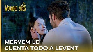 Meryem le cuenta todo a Levent  Omer Sueños Robados Capítulo 168