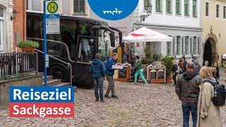 Nächster Halt – Sackgasse Reisebus in Meißen steckt fest  MDR um Zwei  MDR