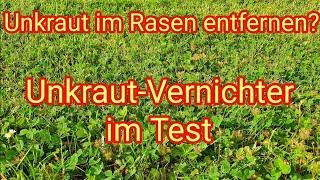 Unkraut und Klee im Rasen entfernen? Compo Rasenunkraut-Vernichter im Test