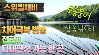 치어극복하기 다대편성 그리고 접합찌-경기 안성 회암낚시터2024.05.14 #즐낚tv #회암낚시터 #다대편성