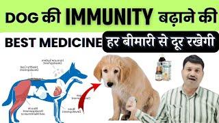 अब डॉग बीमार नहीं होंगे Dog Immunity Booster Syrup dog ki immunity kaise badhaye