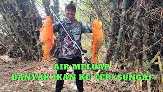 SPOT ANGKER  ternyata banyak ikan berukuran jumbo. bengawan mati part 2 #paserikan #pasermania