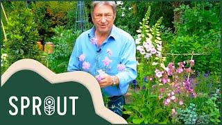 Alan Titchmarshs Gardening Tips Revealed  Sprout