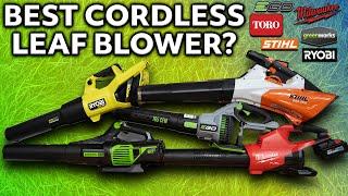 Best Leaf Blower? EGO Milwaukee Ryobi Stihl Best Leaf Blower 2024