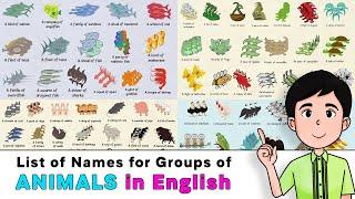 List of Names for Groups of Animals in English  80 Collective Names for Animals
