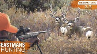GIANT 200 inch buck Hunting Trophy Mule Deer Eastmans’ Hunting Journals